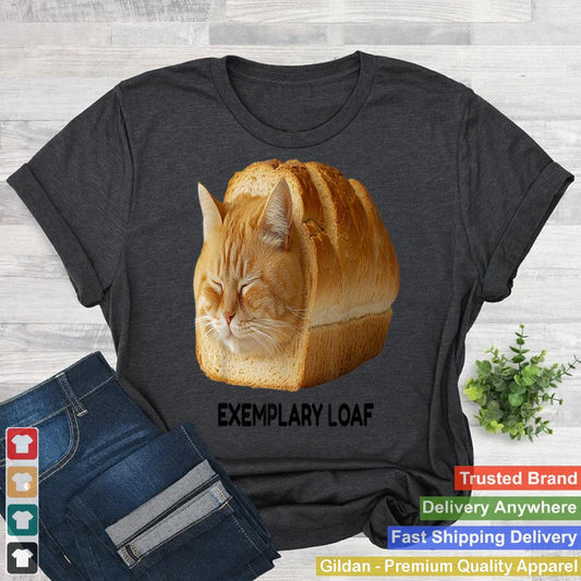 Sleeping Cat Loaf Meme