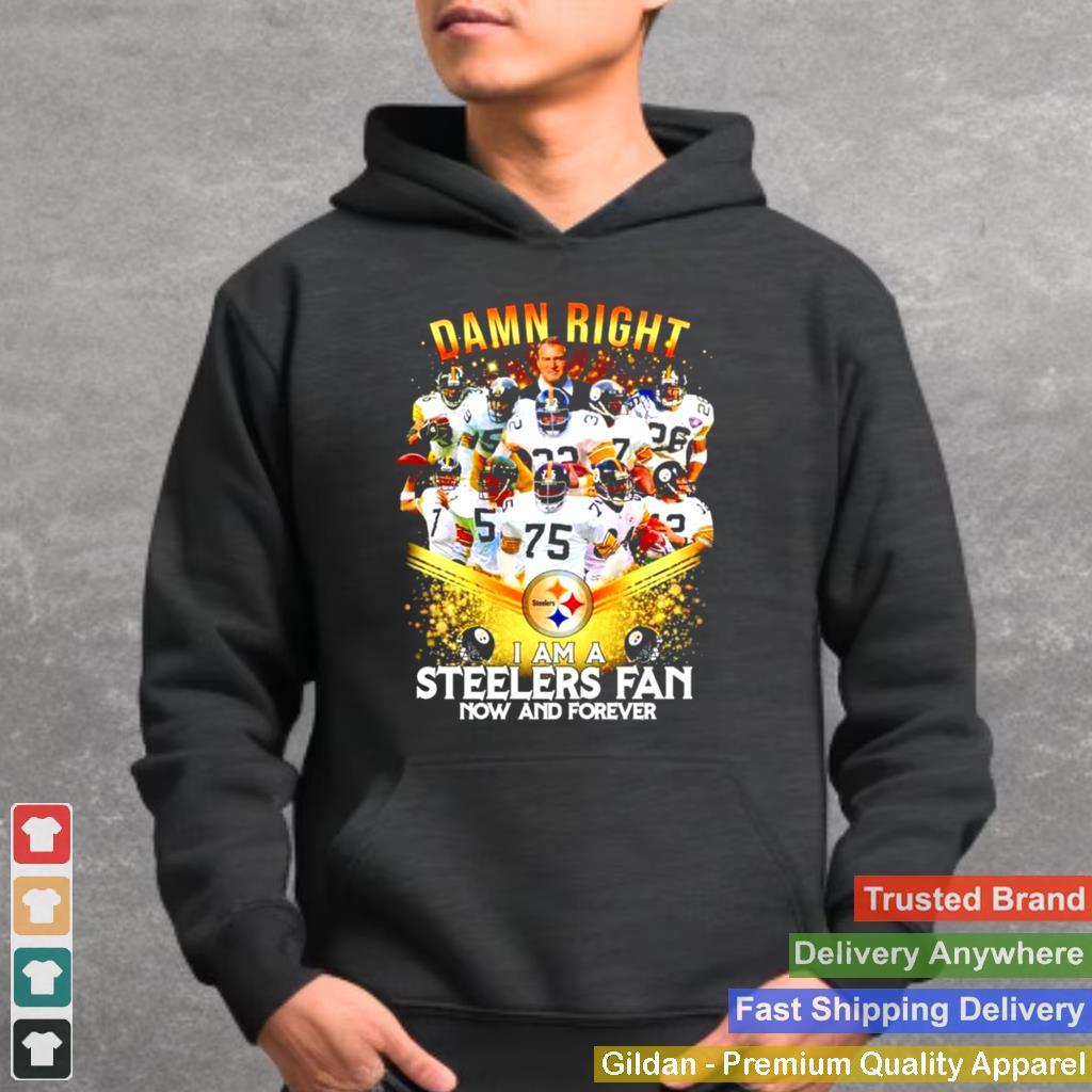 2020 damn right I am a Steelers fan now and forever shirt