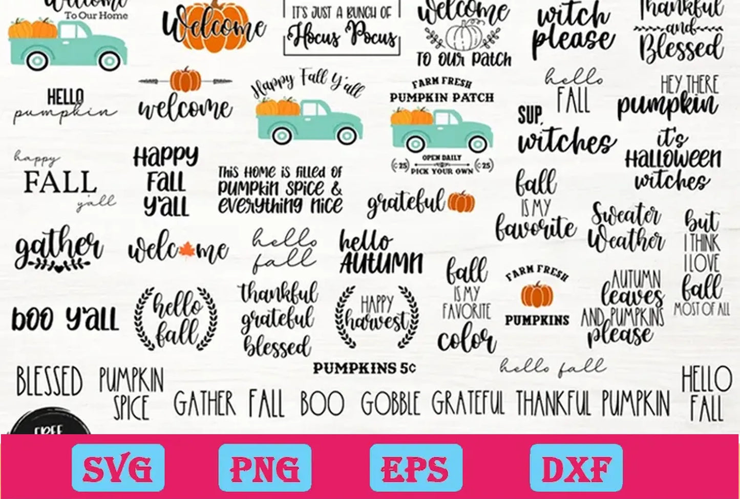 45 Thanksgiving SVG Bundle