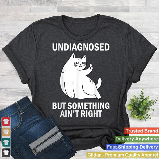 Undiagnosed But Something Ain't Right funny cat meme