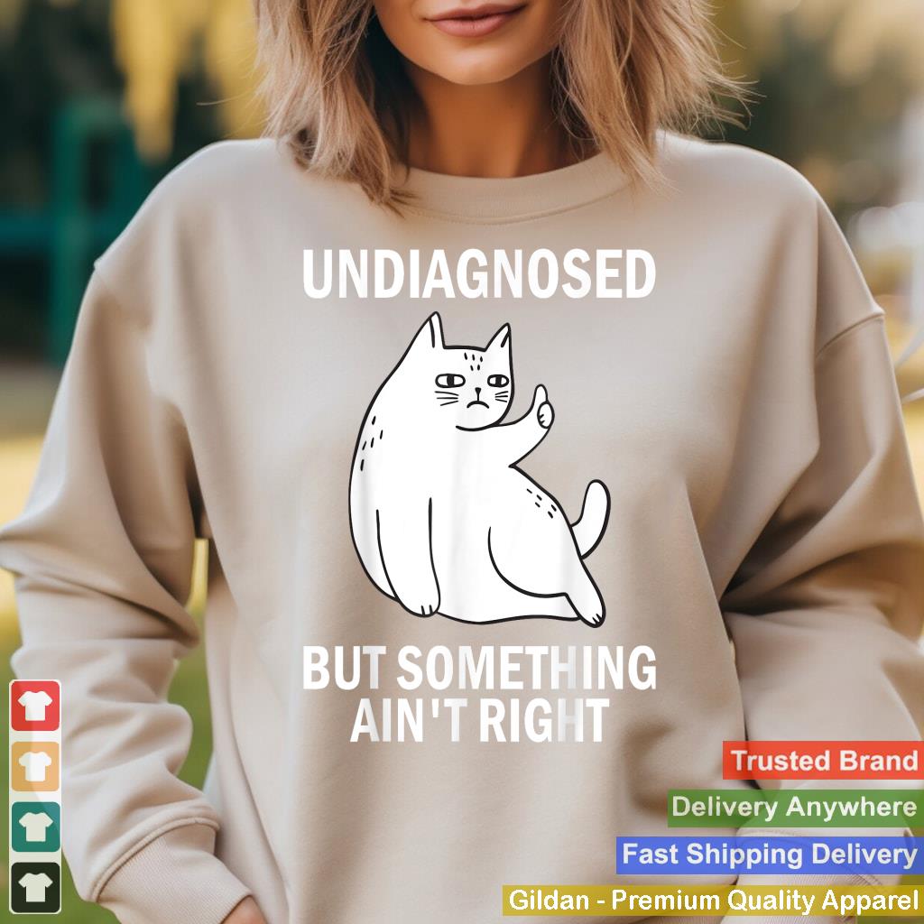 Undiagnosed But Something Ain't Right funny cat meme