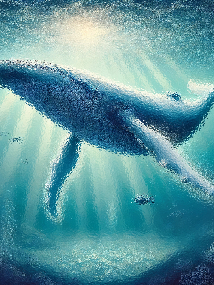 Whale By Fribo