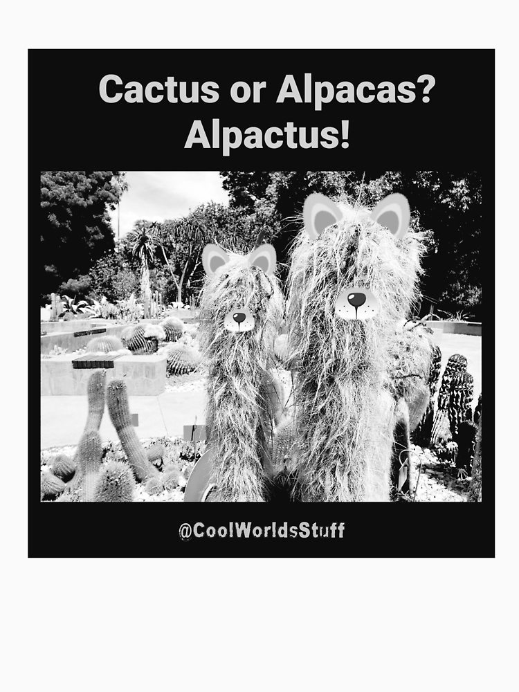 Fun Cactus Collection Cactus Or Alpacas Alpactus For All Cactus Lovers Bw By Coolworldstuff