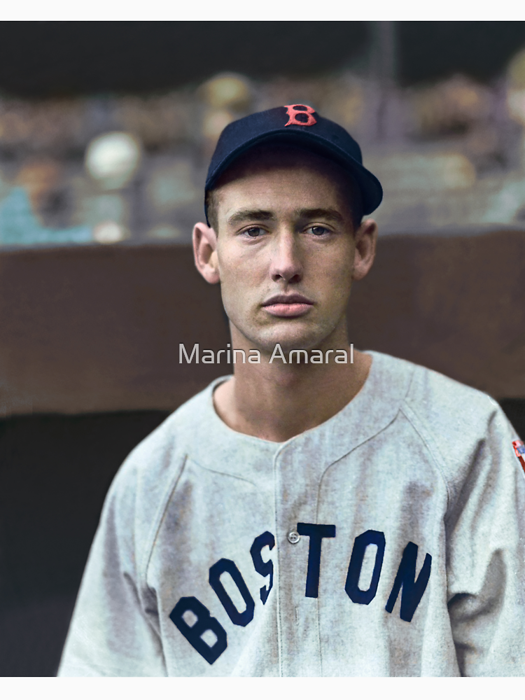 Ted Williams Colorized Portrait By Marinamaral