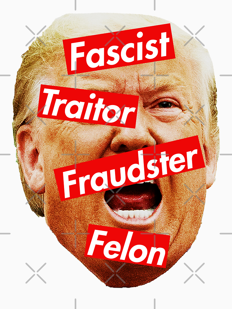 Trump Fascist Traitor Fraudster Felon By Thelittlelord