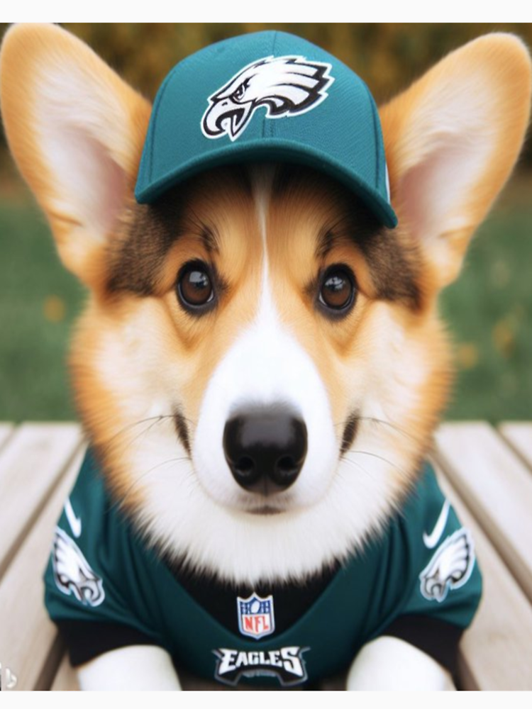 Philadelphia Eagles Corgi Mascot By Phillysportz