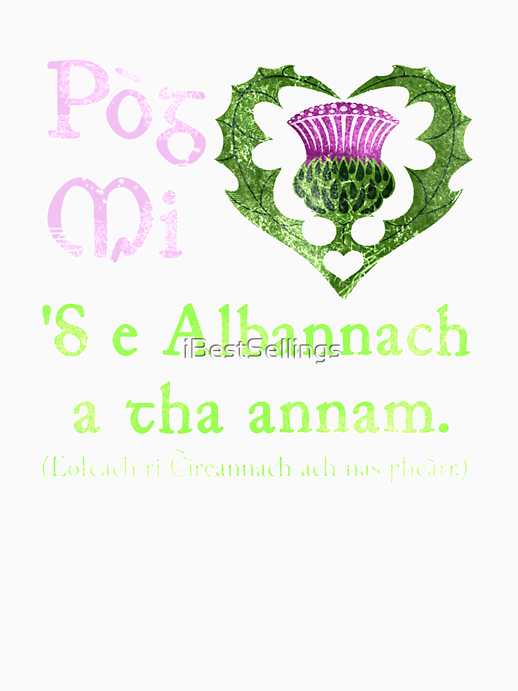 St Patrick S Day Funny Kiss Me I M Scottish In Gaelic By Ibestsellings