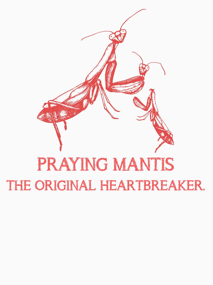 Praying Mantis The Original Heartbreaker By Jadenalmente