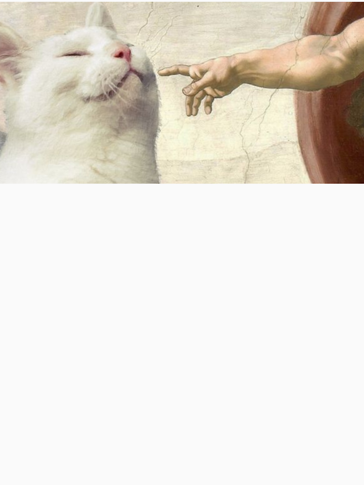 The Creation Of Man Cat Meme By Theinner Style 3