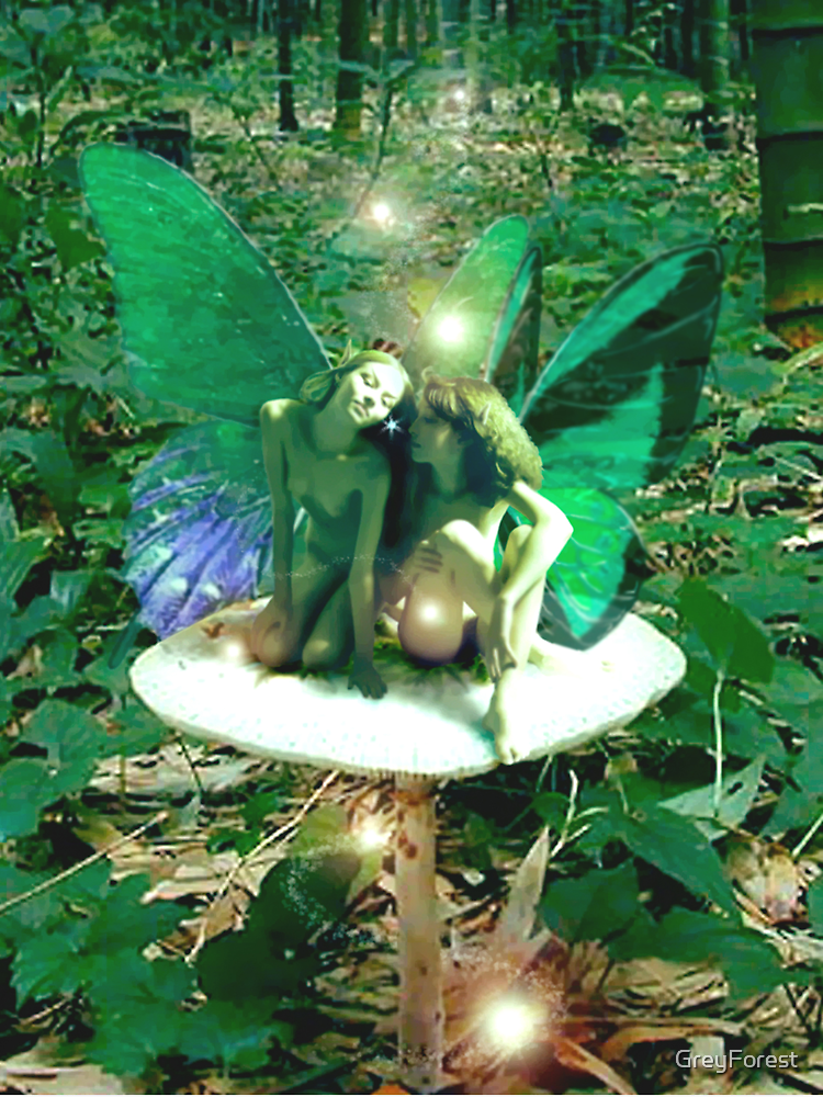 Fairy Love Faerie Friends Pixie Girl Butterfly Wings On Wild Mushroom By Greyforest