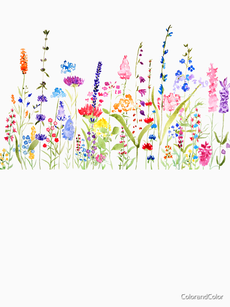 Hand Painted Colorful Wild Flower Field By Colorandcolor