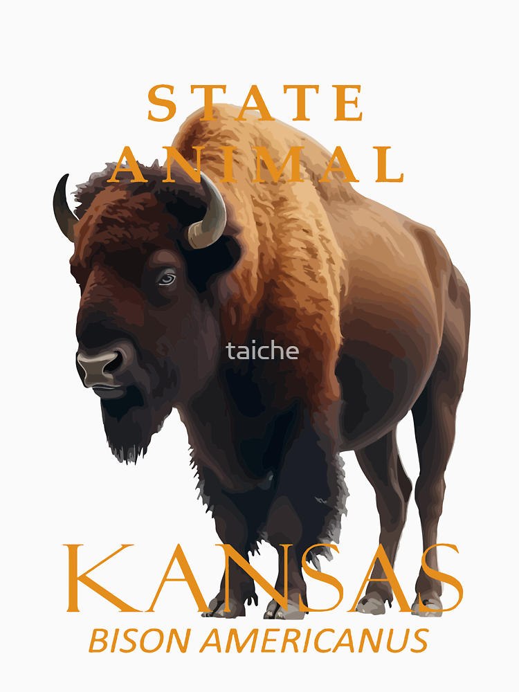 Kansas Territory Animal Bison Americanus By Taiche