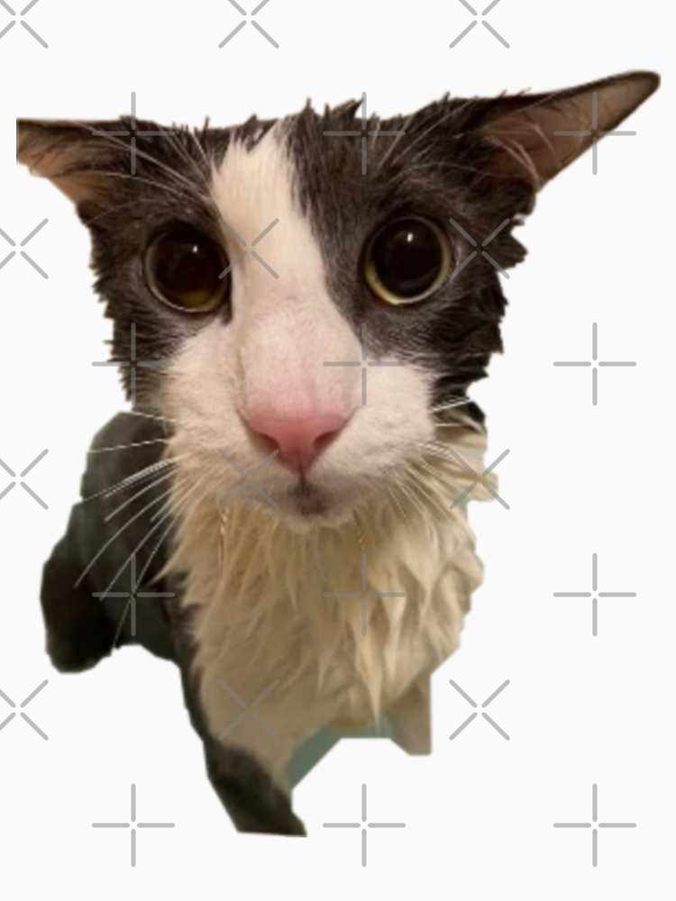 Soggy Cat By Trendy Now