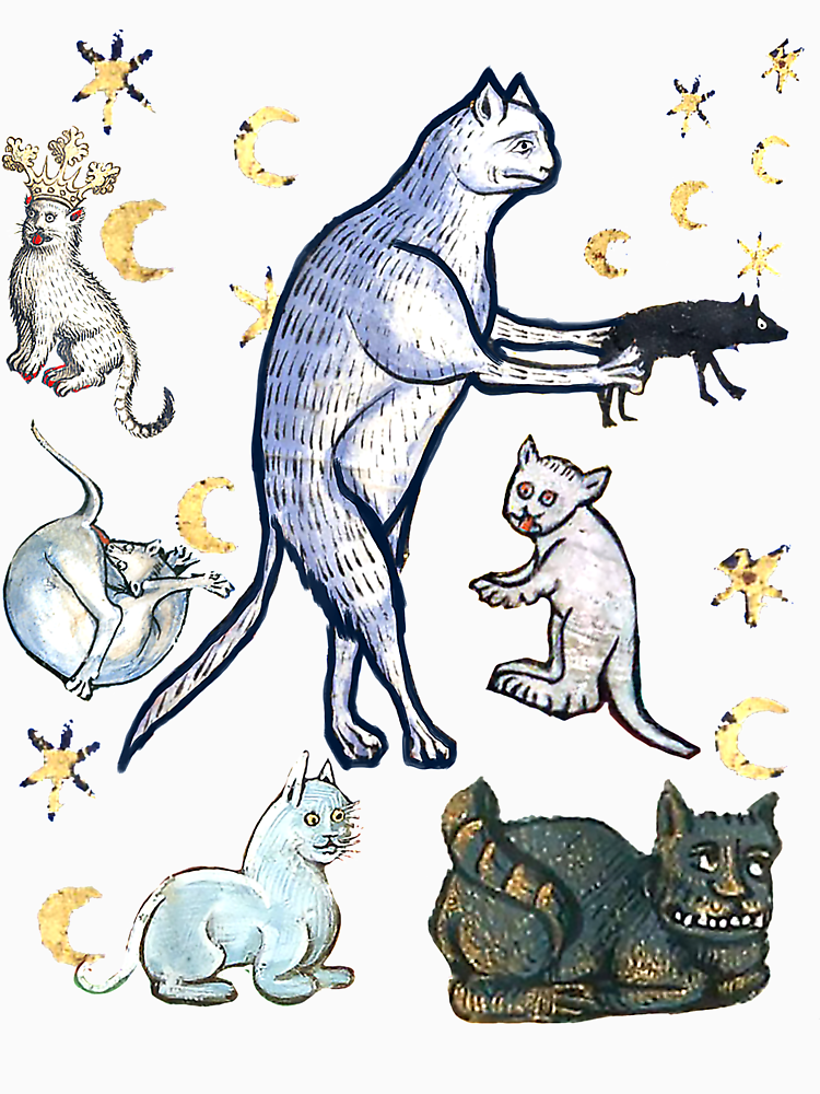 Ugly Medieval Cats Merch By Tighsquiggly