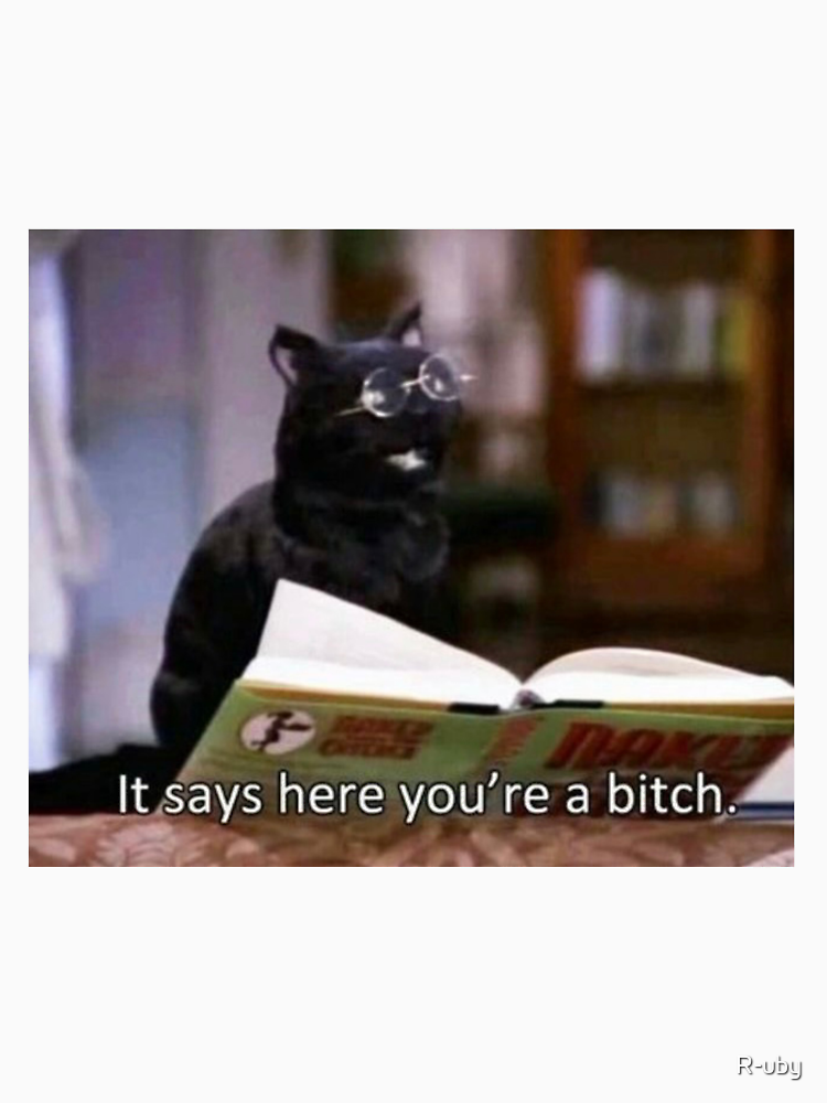 Salem The Cat It Says Here That You Re A B Tch By R Uby