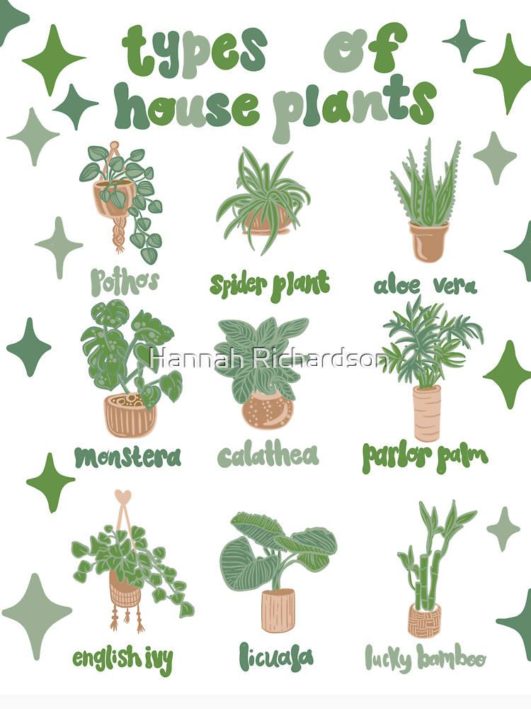 Types Of Houseplants Chart Print Aesthetic By Richardsonh25